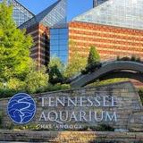 Tennessee Aquarium