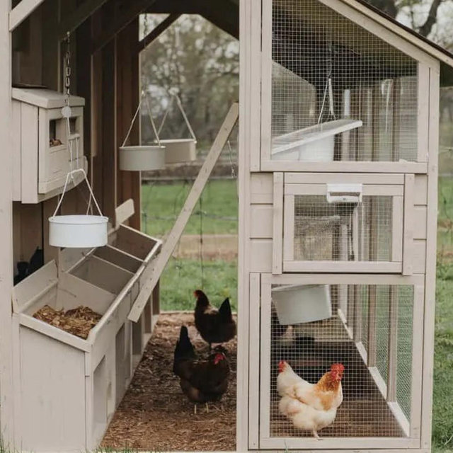 Chicken coop fund!!!