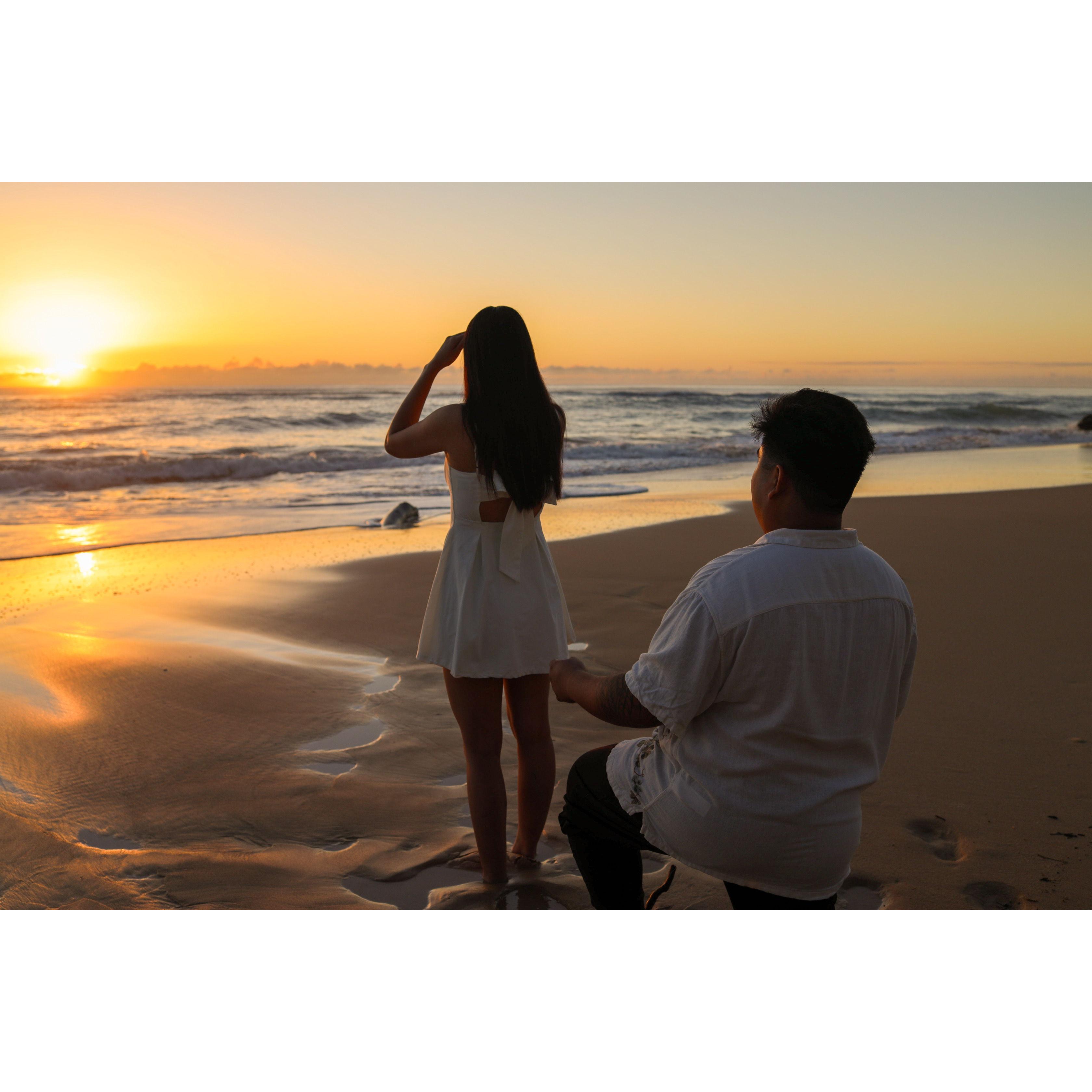 The proposal