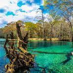 Cypress Springs Eco Adventure / Cold water Excursions