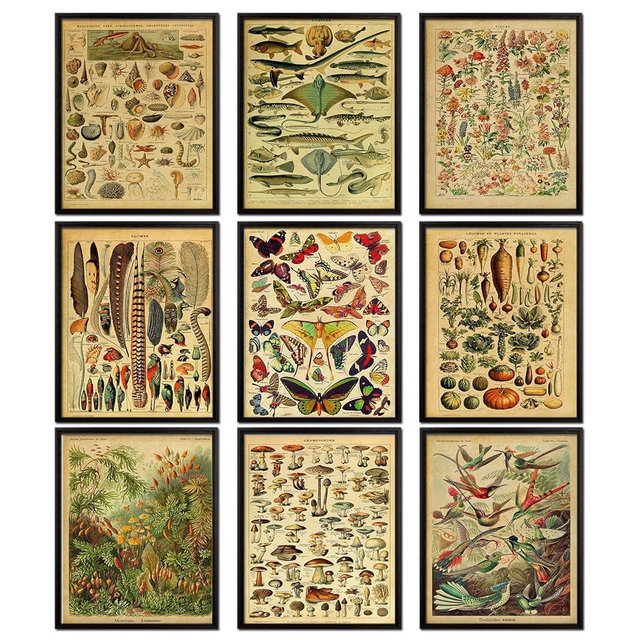 LPGYCEWO 9PCS Vintage Botanical & Butterfly Posters – 8x10 Inch Unframed Educational Nature Prints, Floral Chart Wall Art for Living Room, Bedroom, Office, or Classroom Decor