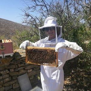Beekeeping & Honey Tour