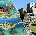 Visit Tulum