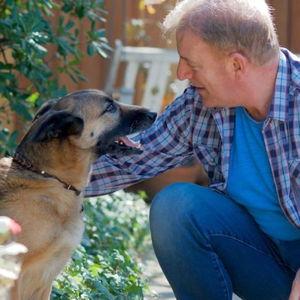 Donation to the Animal Cancer Foundation