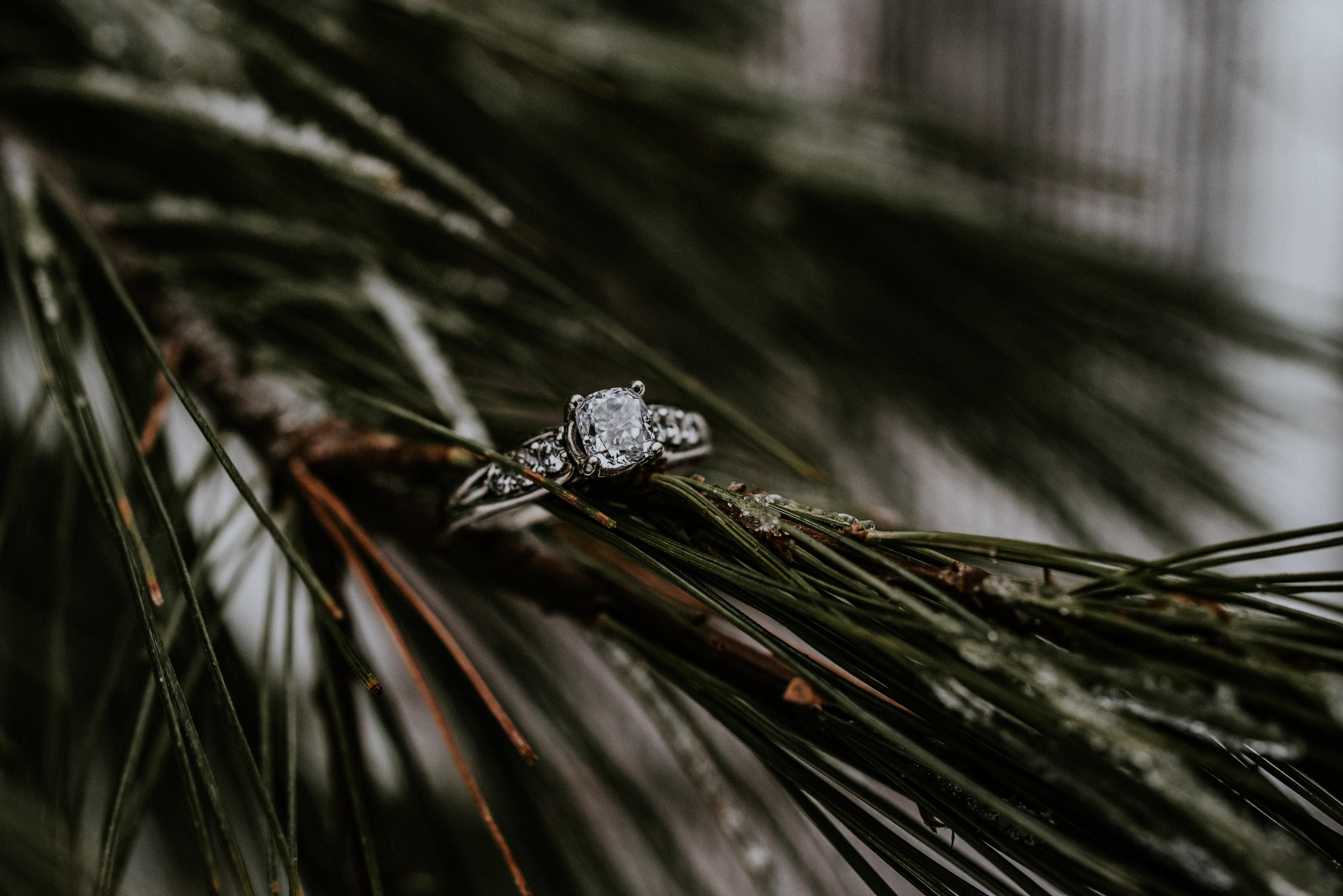 The Wedding Website of Aubrey Atanasoff and Steve Moore