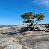 Stone Mountain Park