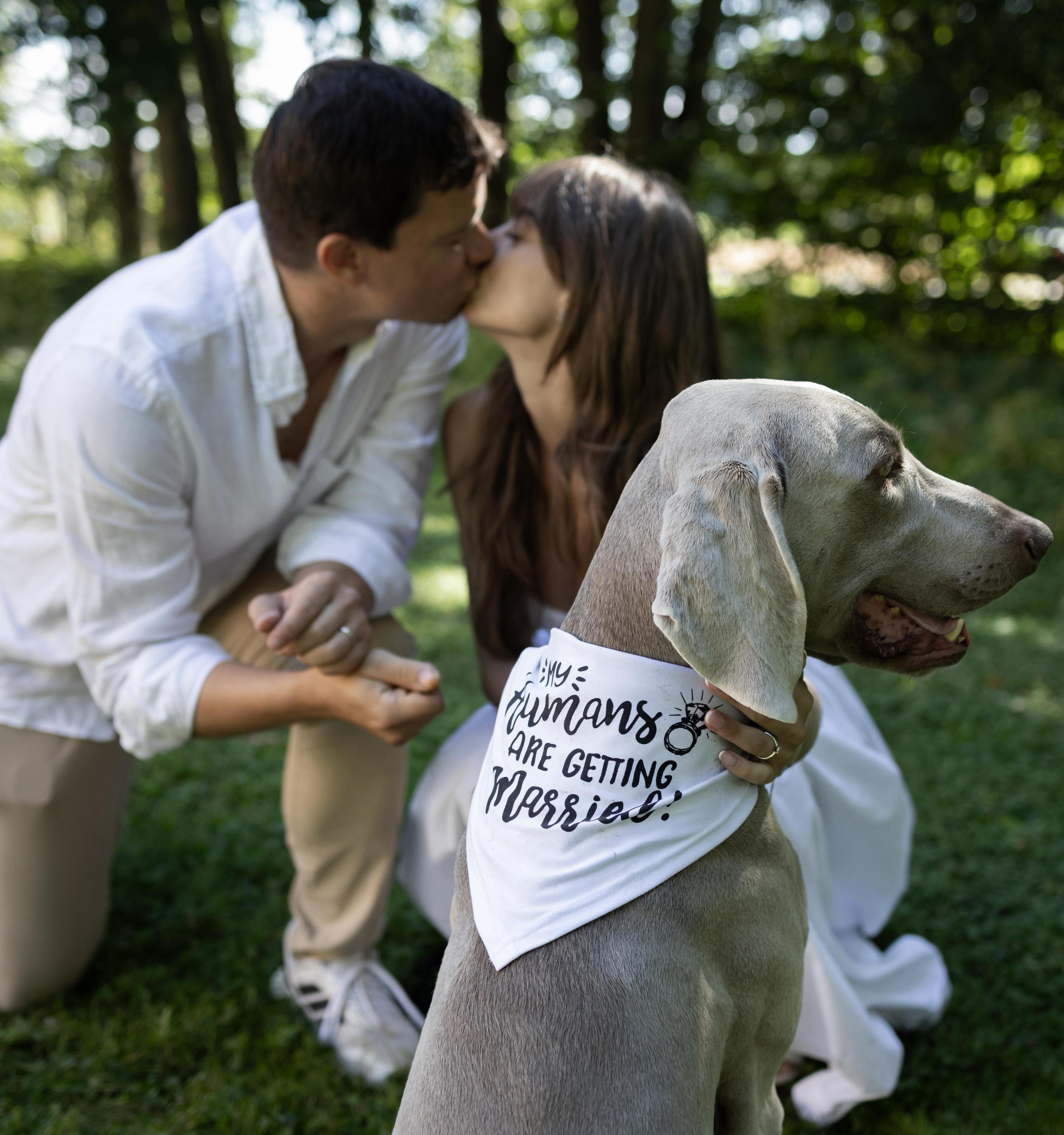 The Wedding Website of Daniela Cabrera and Yoel Carreno