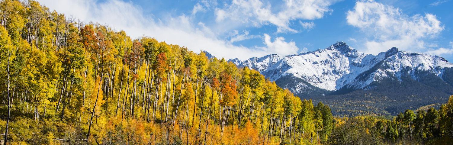 The Wedding Website of Madison Stacy and Bryan Connelly