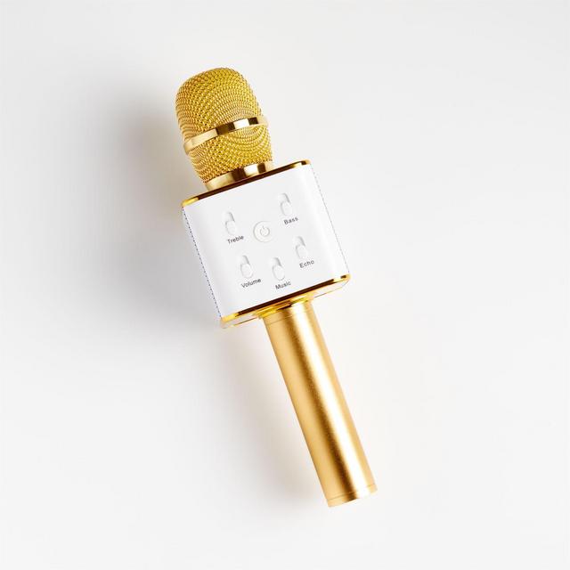 Karaoke Microphone