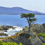 17 Mile Drive