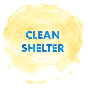 Donate to Clean Shelter