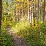 Explore French's Point