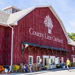 County Line Orchard