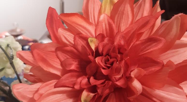 The Wedding Website of Dawn Olson and Todd Lien