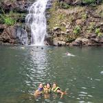 Waimea Valley