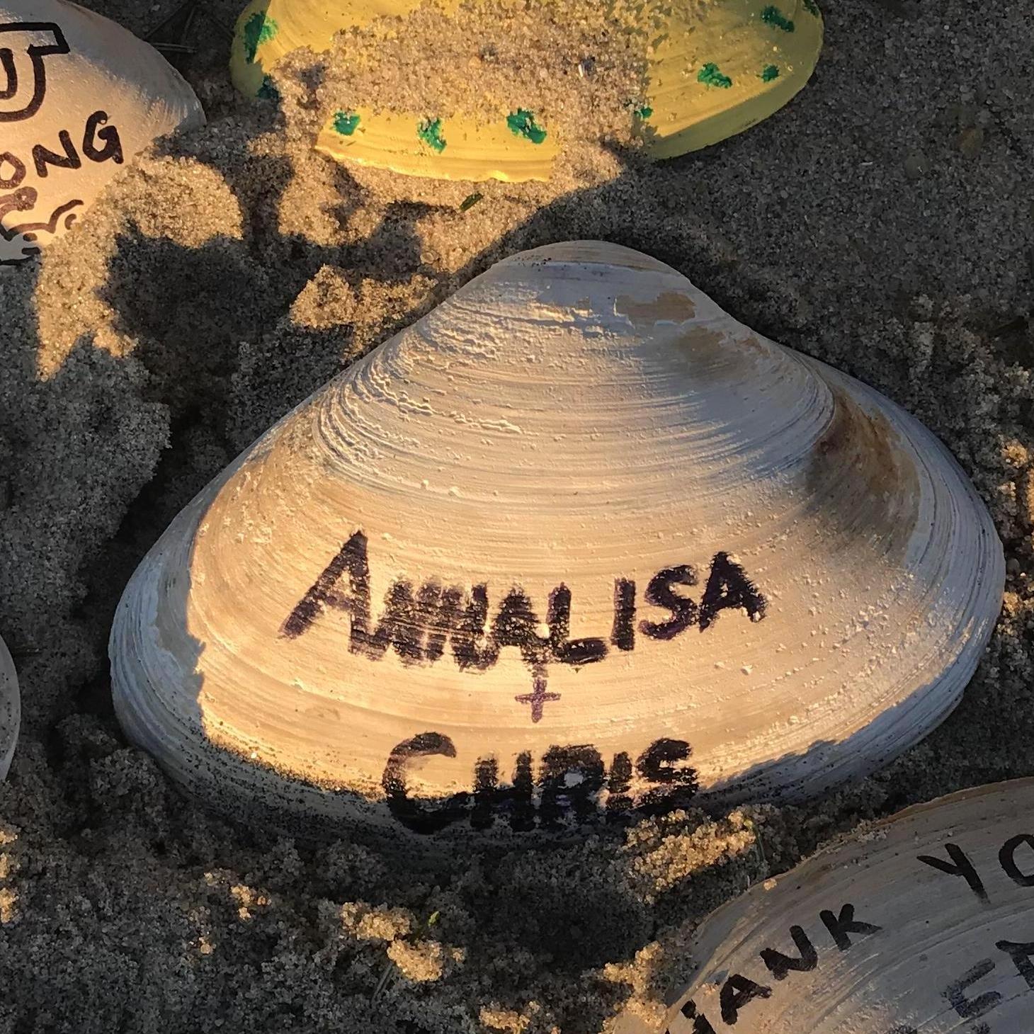 Our shell under the beach Christmas tree.