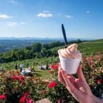 Carter Mountain Orchard and Country Store