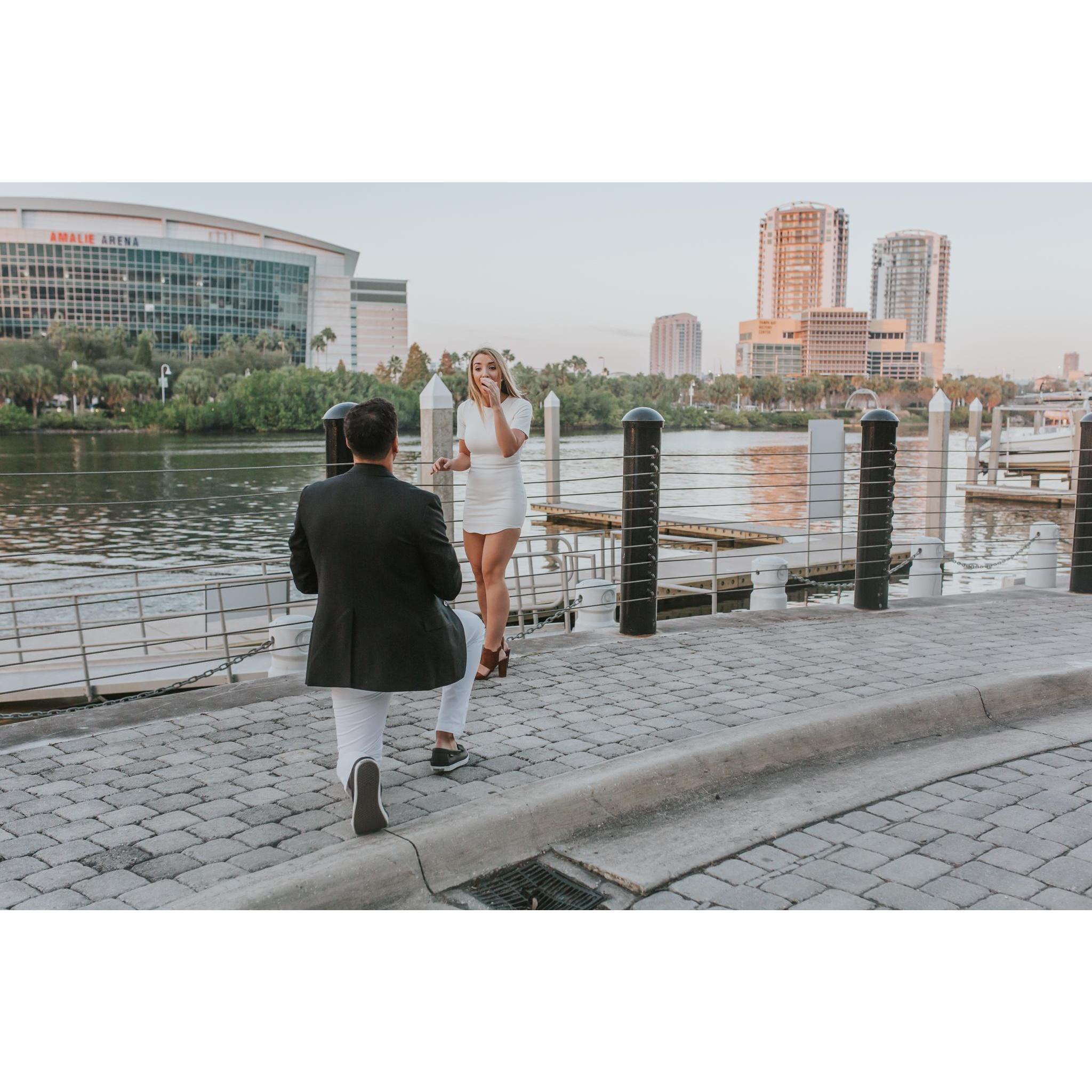 The proposal!