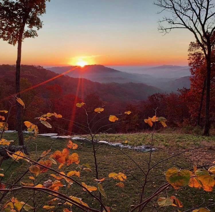 The Wedding Website of Alicia Collard and Spencer Pilkington