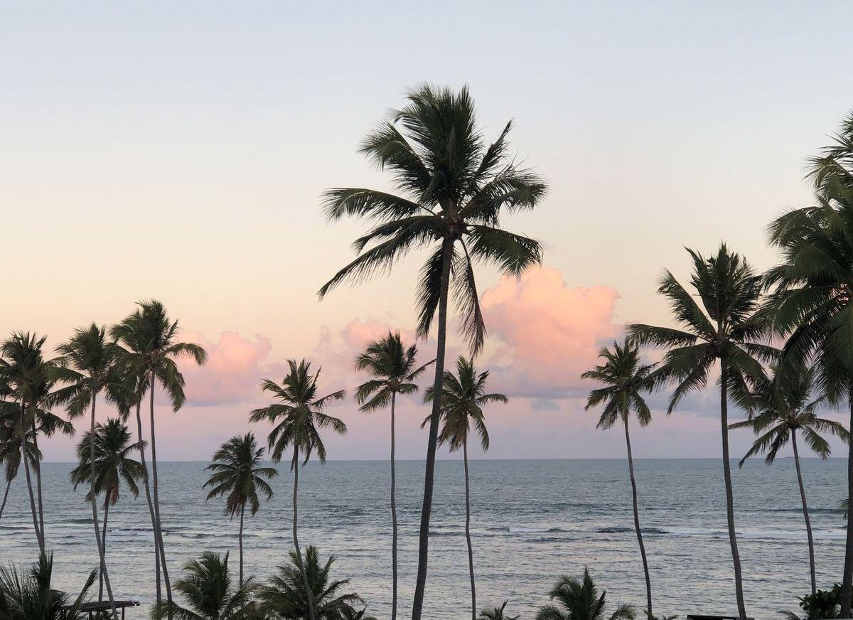 The Wedding Website of Faith Bennett and Jake Taylor