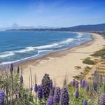 Stinson Beach
