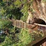 Ijams Nature Center