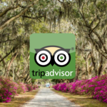 Trip Advisor's List of Things to do while in Savannah