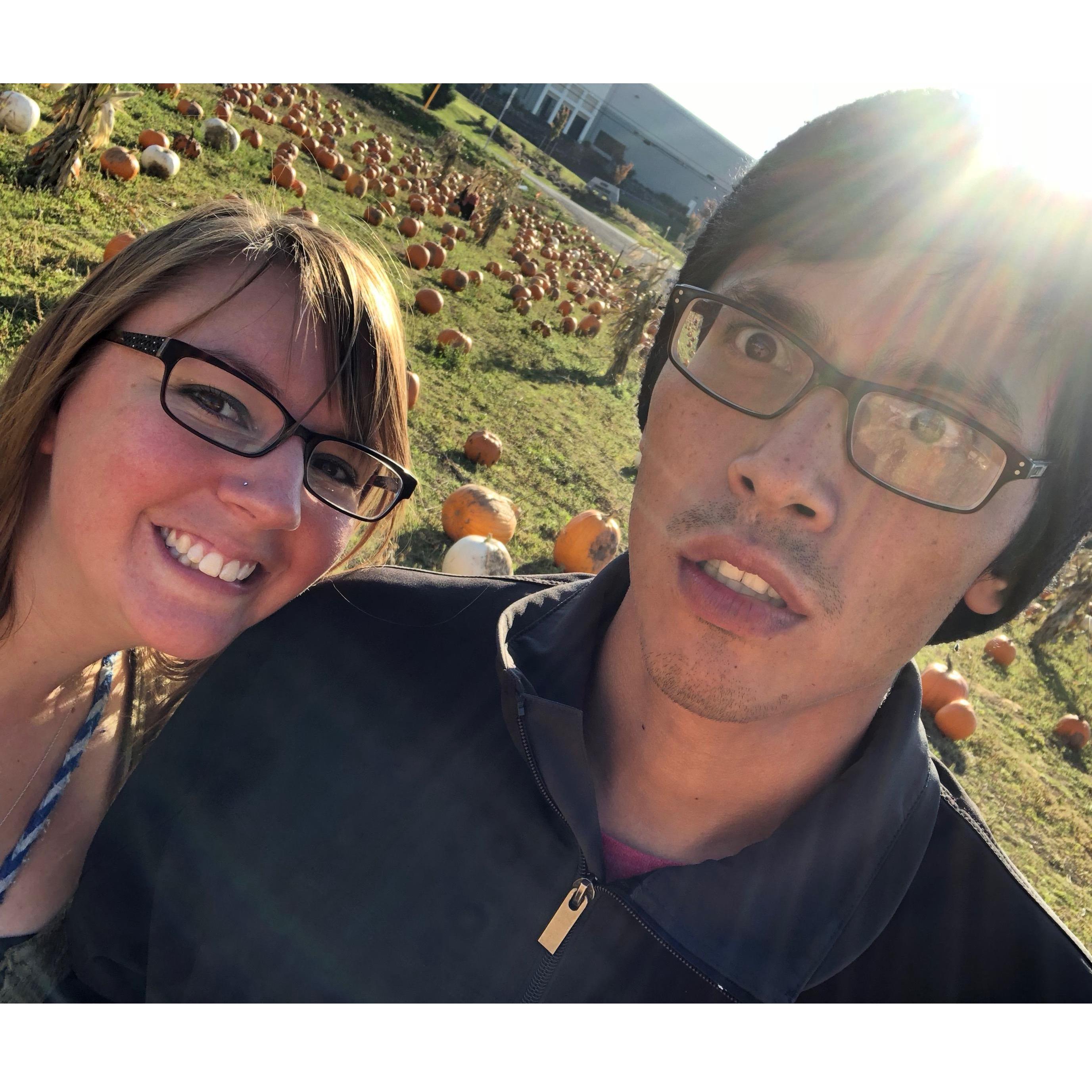 Pumpkin patch!