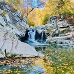 Scott’s Run Nature Preserve