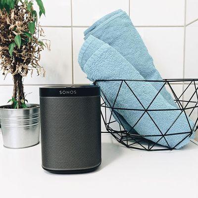 SONOS PLAY:1