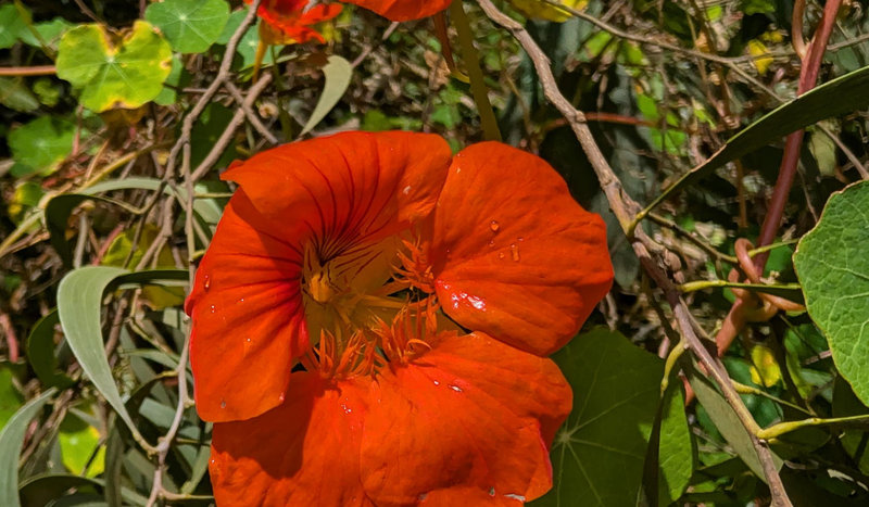 Hero Slideshow Image 4