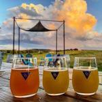 Other Half Brewing Company