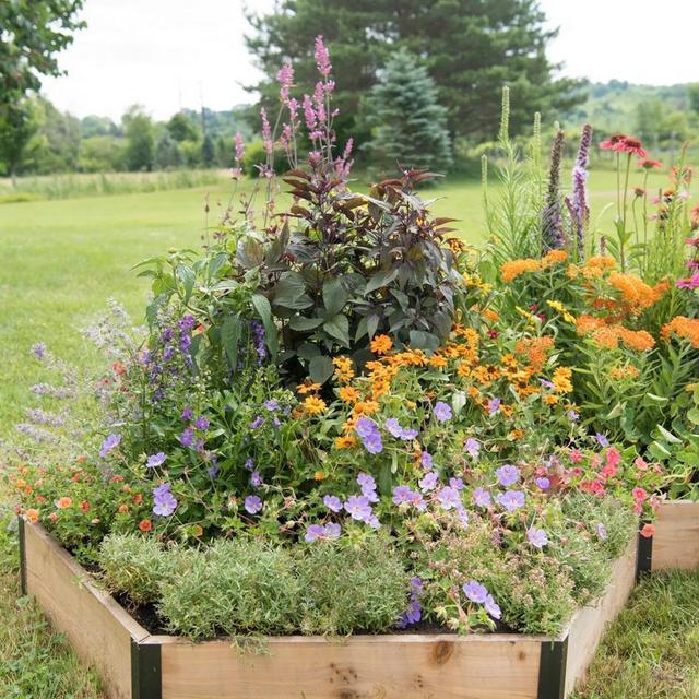 Pollinator Garden Bed (7.25" D)