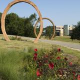 north carolina museum of art