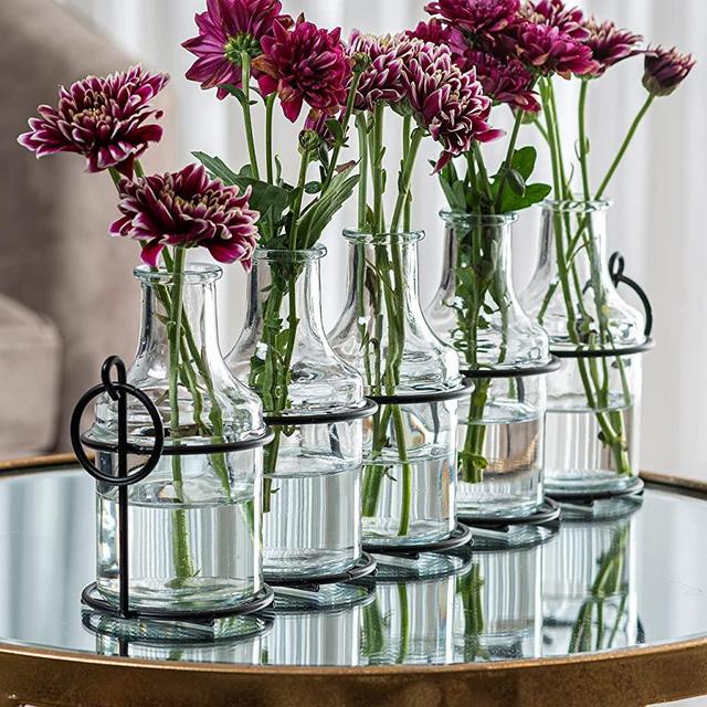 5pc Glass Flower Vase with Metal Holder, Best Vases for Flowers, Set for Home Décor, Wedding Decorations, Table Décor, Kitchen, Bathroom, Bedroom, Shelf Décor, Best Modern Vase for Flower Arrangement.
