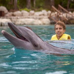 Exclusive VIP Dolphin Swim Cozumel, Mexico