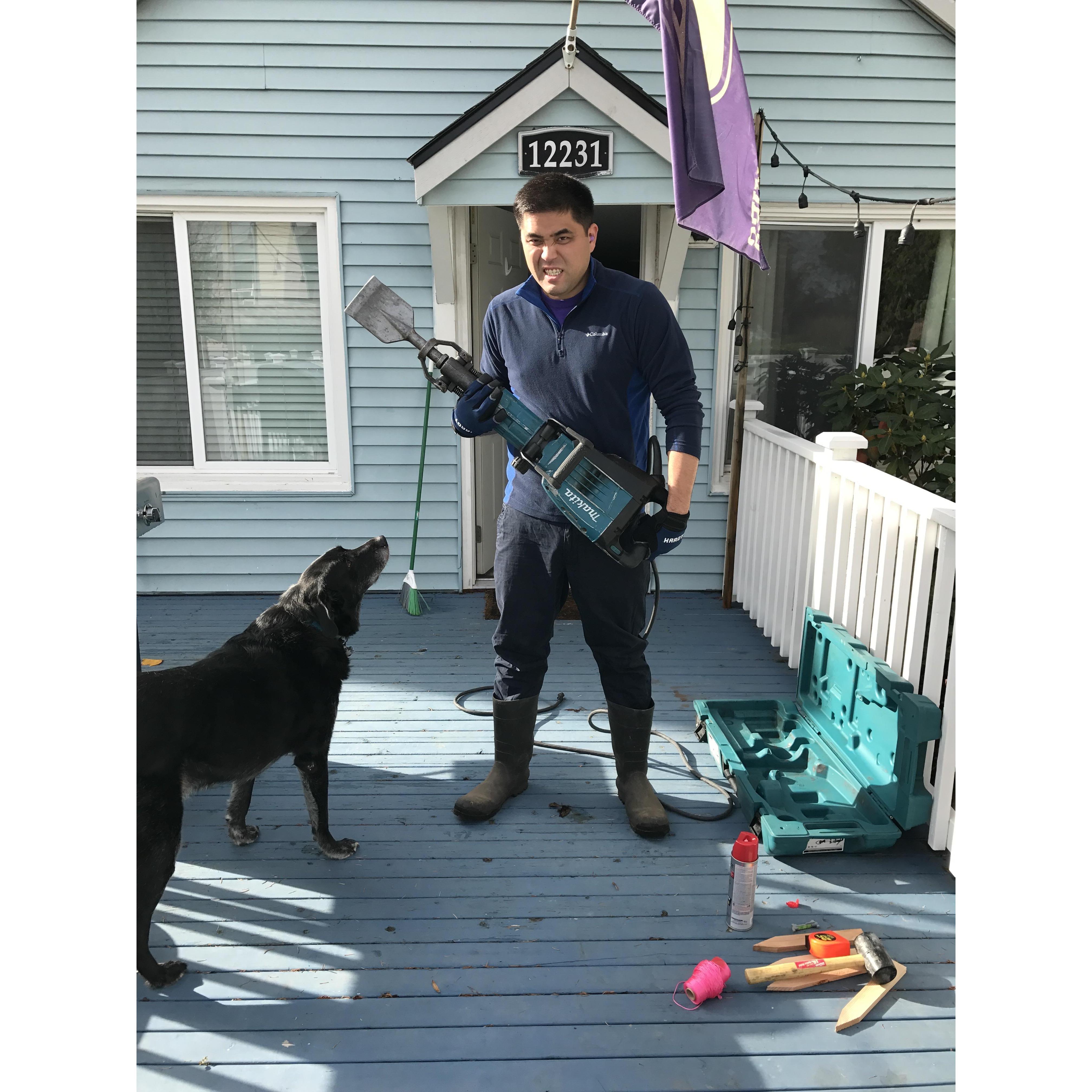 Home improvement projects with Stewie