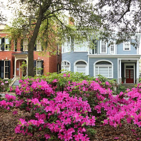 Our Honeymoon Fund {Savannah, GA}