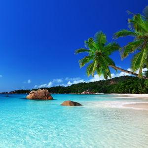 Honeymoon