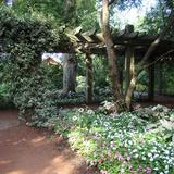 Botanic Garden at Georgia Southern University