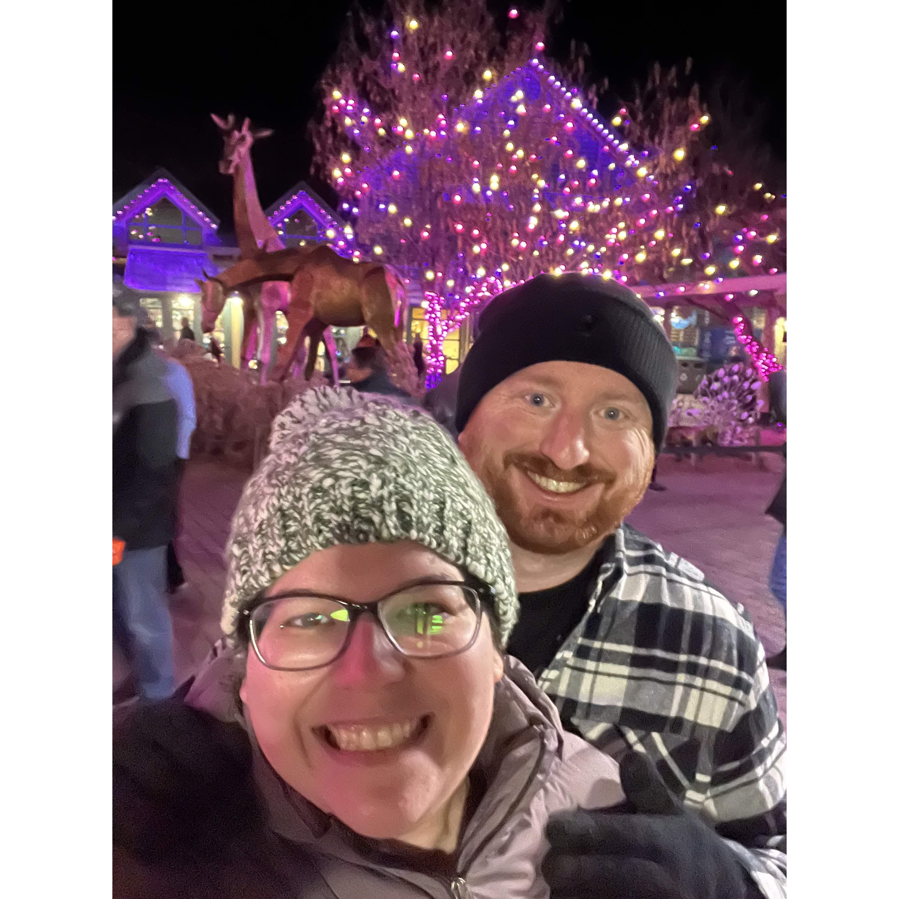 Zoo Lights (Dec. 2021)