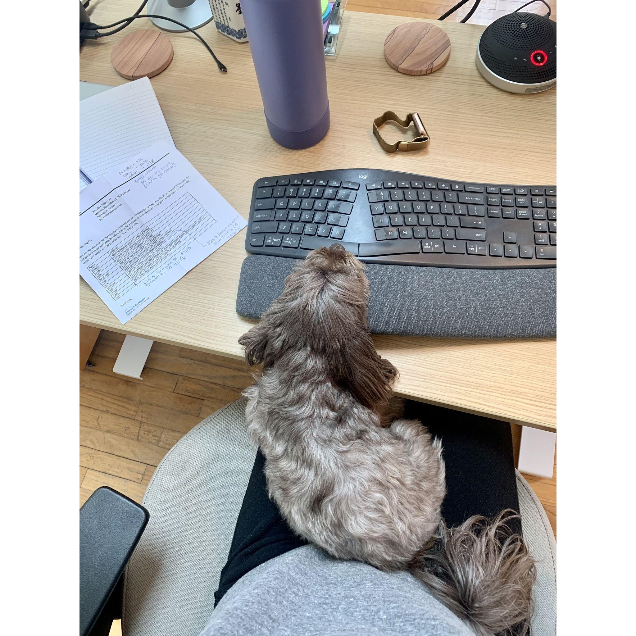 This is how we work, little Chepa and Florence.