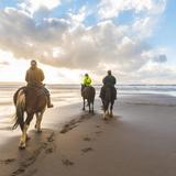 Hatteras Island Horseback Riding