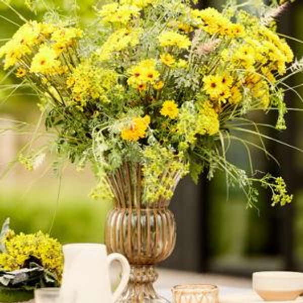 Glass + Iron Flare Vase