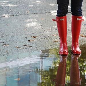 Rainboot Fund