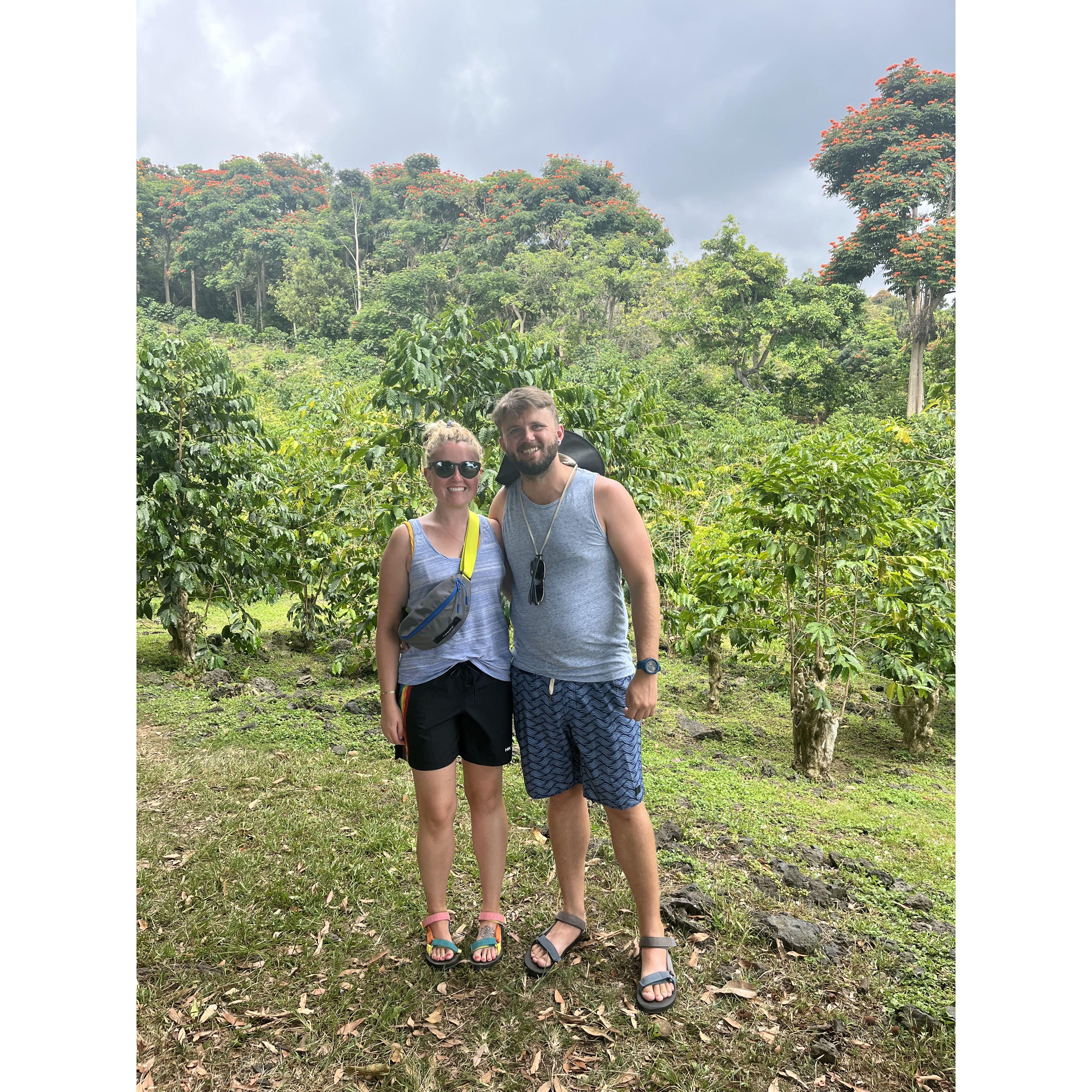 Kona, HI