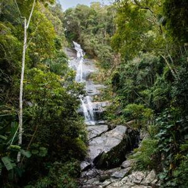 Honeymoon Hike Tijuca National Park