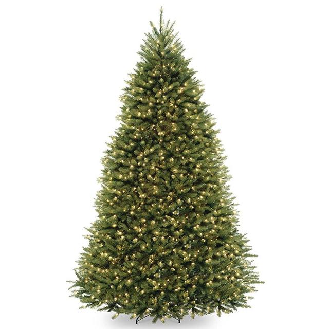 National Tree Company Pre-lit Artificial Christmas Tree | Includes Pre-strung White Lights and Stand | Dunhill Fir - 9 ft