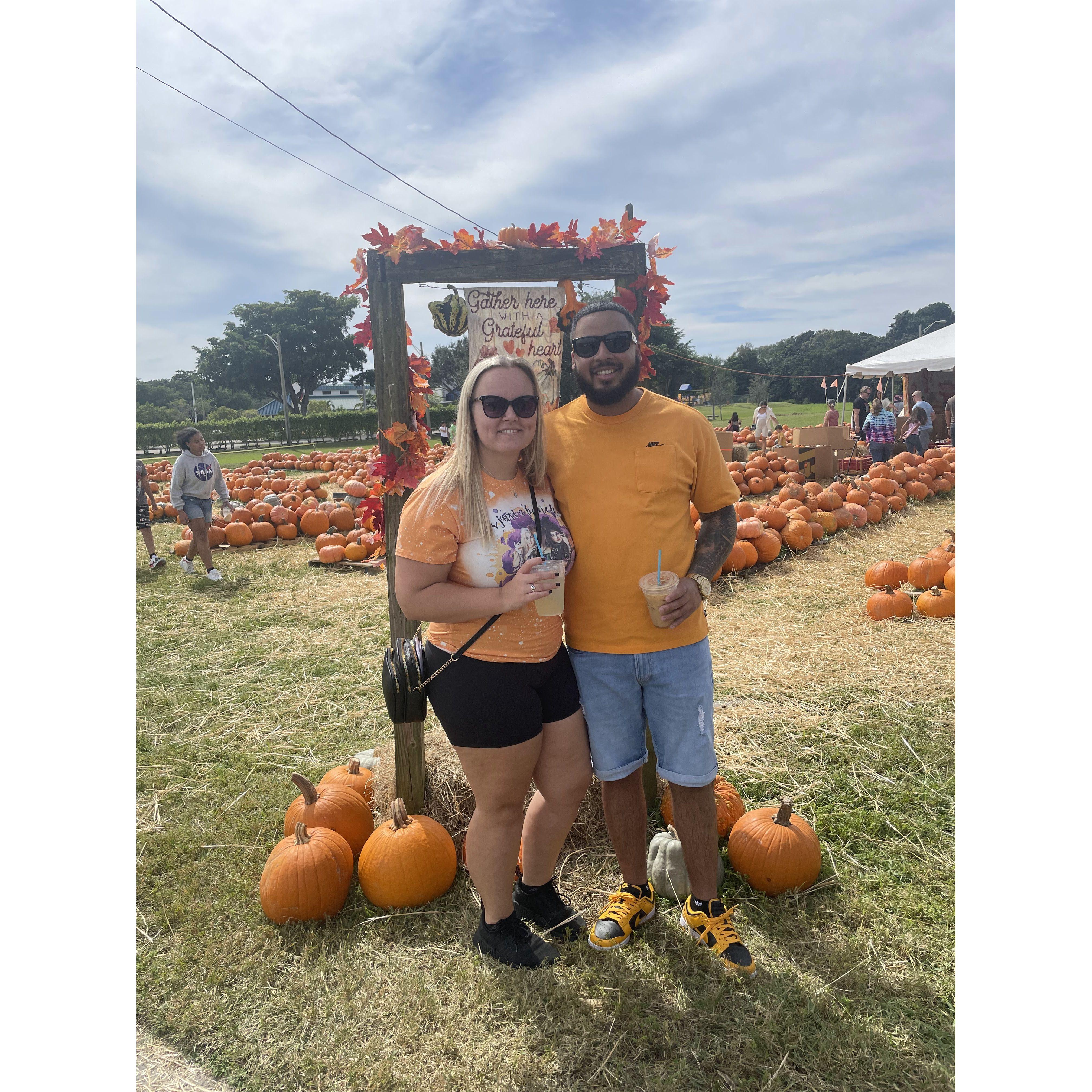 Pumpkin Patch