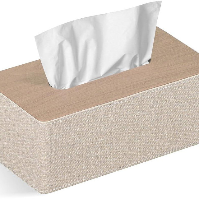GOLRANLYE Tissue Box Cover Rectangular 9.8"(L) x 5.3"(W) x 4.3"(H) Refined Modern PU Leather Facial Tissue Dispenser Box Holder for Dresser Bathroom Decorative (Beige)